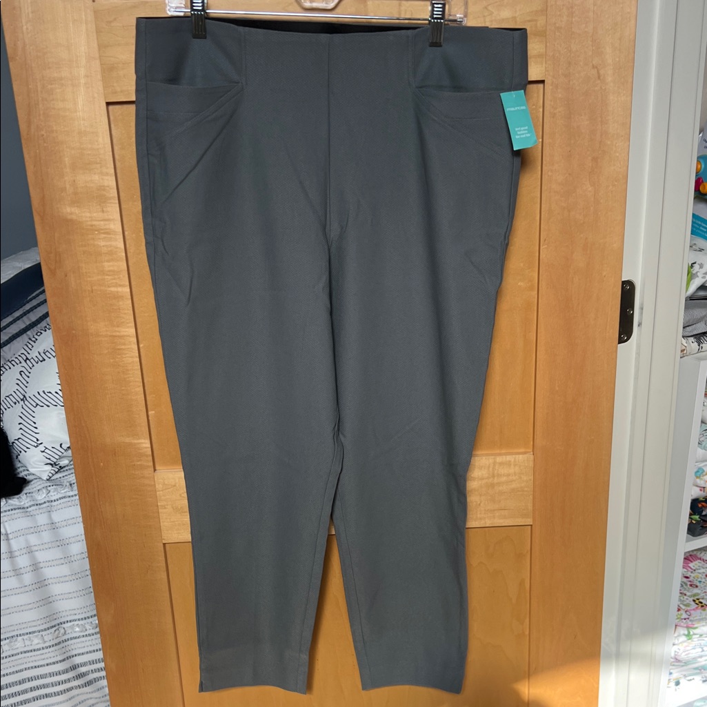 Nwt Maurices Light Gray Pull-On Pants With Front Pockets